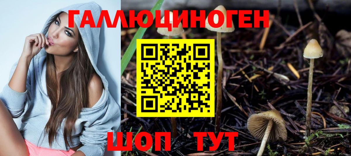 купить   Псилоцибиновые грибы Psilocybine cubensis  Миллерово  Вход с VPN  Галлюциногенные грибы MAGIC MUSHROOMS 